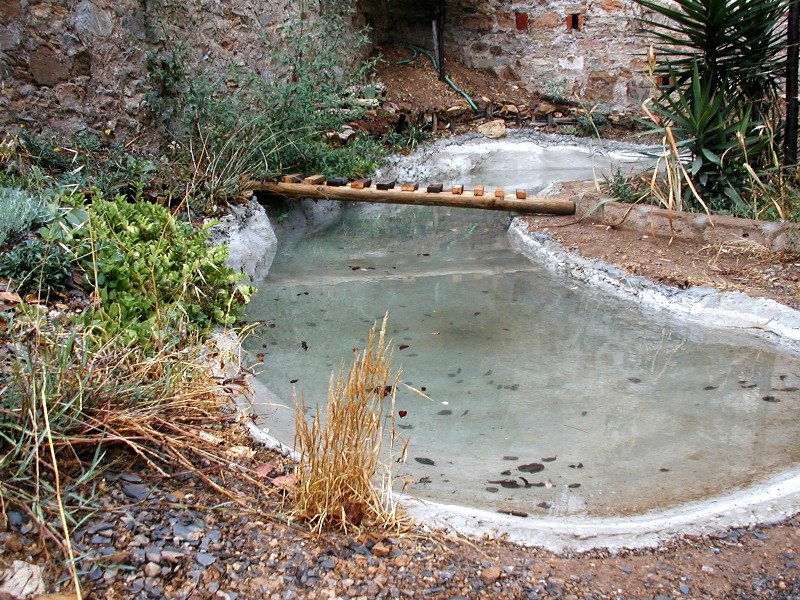 Il Laghetto del Centro di Entomologia - Piombino (LI)